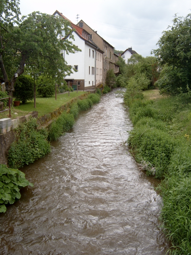 Fischbach2