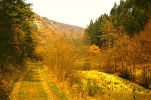 Fischbach in vergangener Zeit_80