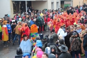 Fischbacher Carneval Verein_32