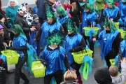 Fischbacher Carneval Verein_35